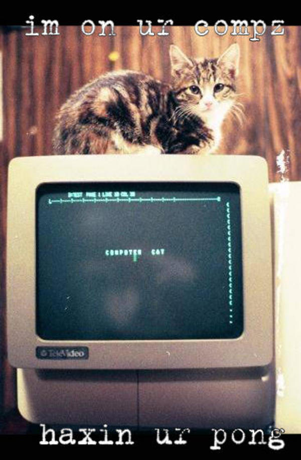 ComputerCat2.jpg