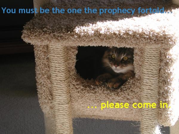 ProphecyCatHouse.jpg
