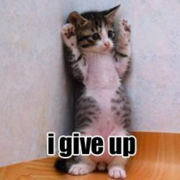 giveup.jpg