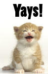 hooray-for-kittens.jpg