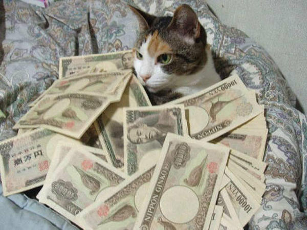 moneycat.jpg