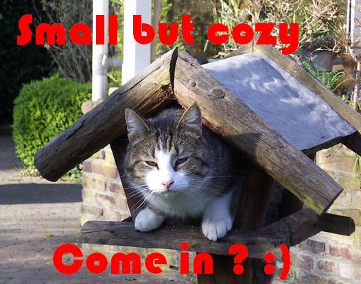small-but-cozy.jpg