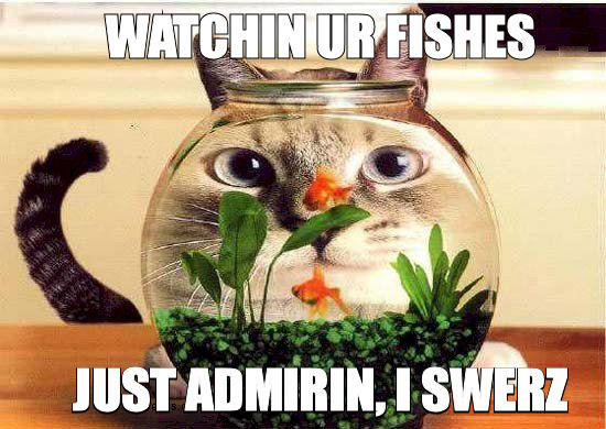 watchin-ur-fishes.jpg